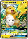 Product image for Raichu GX