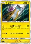Product image for Raikou
