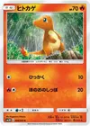 Product image for Charmander