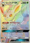 Product image for Leafeon GX