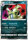 Product image for Tyranitar