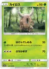 Product image for Pinsir