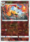 Product image for Braixen