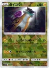Product image for Raikou