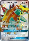Product image for Turtonator GX