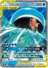 Product image for Magikarp and Wailord GX