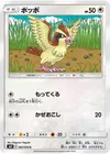 Product image for Pidgey