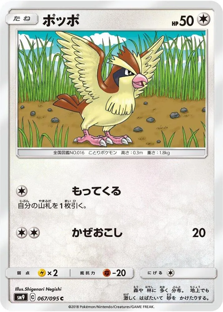 Pidgey — SM9: Tag Bolt — Pokemon Japan