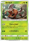 Product image for Pinsir
