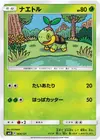 Product image for Turtwig