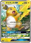 Product image for Raichu GX