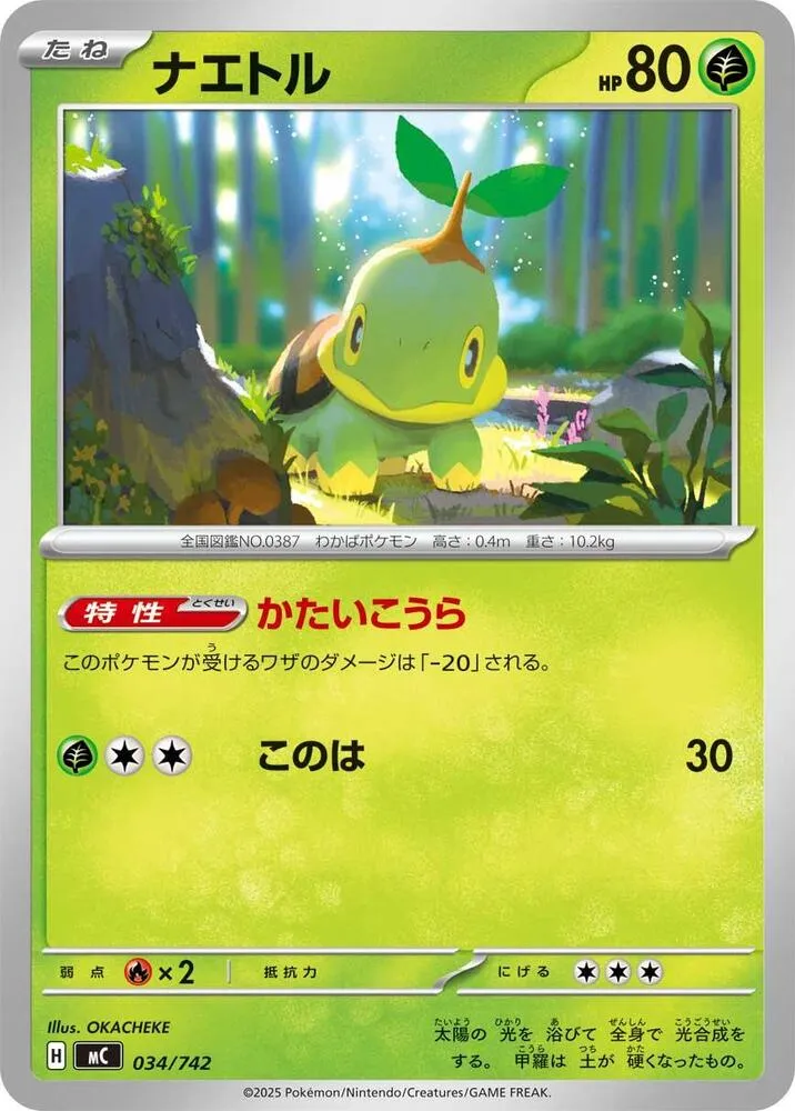 Tortipouss — Start Deck 100 Battle Collection — Pokemon Japan