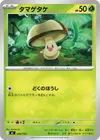 Product image for Trompignon