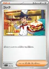 Product image for Cuisinier