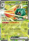 Product image for Decidueye ex