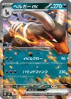 Product image for Houndoom ex
