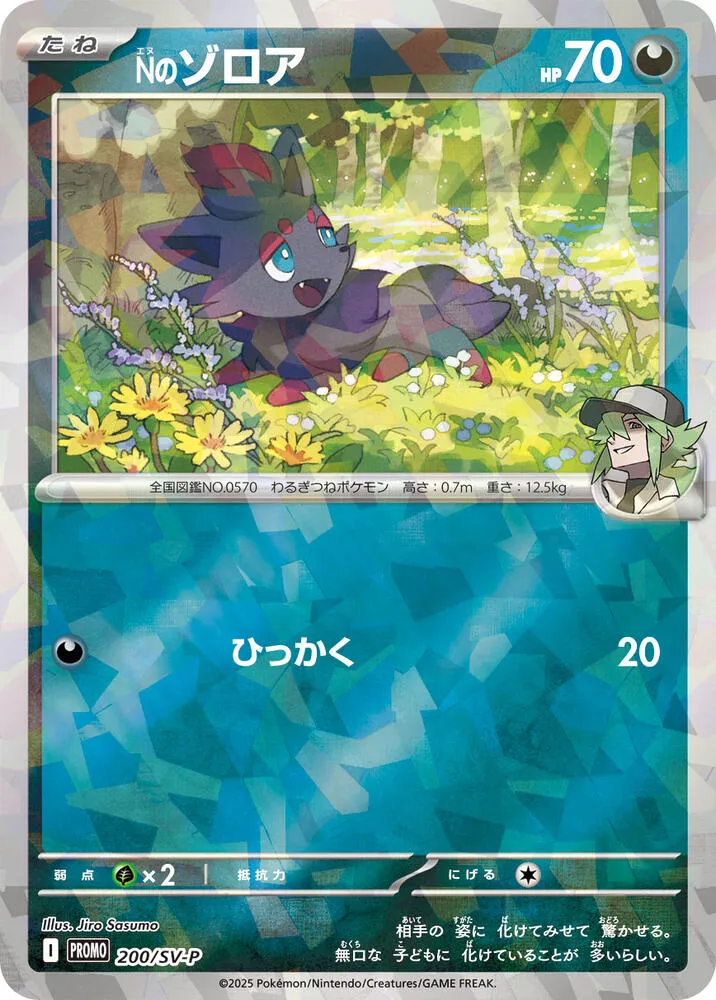 Ns Zorua from SV-P Promotional Cards - Pokemon Japan