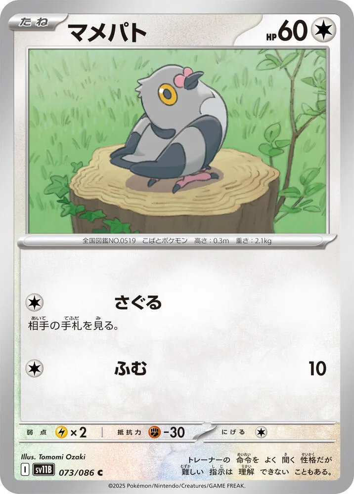 Pidove — SV11B: Black Bolt — Pokemon Japan