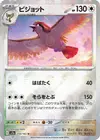 Product image for Pidgeot