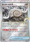 Product image for Fossile Nautile Ancien