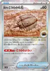 Product image for Fossile Dôme Ancien