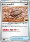 Product image for Antique Dome Fossil