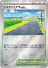 Product image for Piste Cyclable