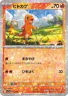 Product image for Charmander