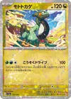 Product image for Motorizard