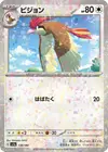 Product image for Pidgeotto