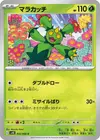 Product image for Maractus