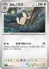 Product image for Noctowl