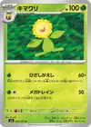 Product image for Sunflora