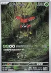 Product image for Tokotoro