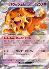 Product image for Dachsbun ex