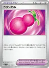 Product image for Baie Yapap