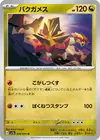 Product image for Turtonator