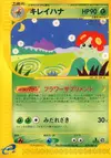 Product image for Bellossom