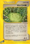 Product image for Apricorn Forest