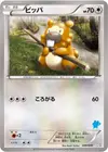 Product image for Bidoof