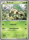 Product image for Pansage