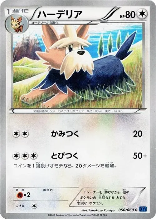 Herdier — XY-Bx: Collection X — Pokemon Japan
