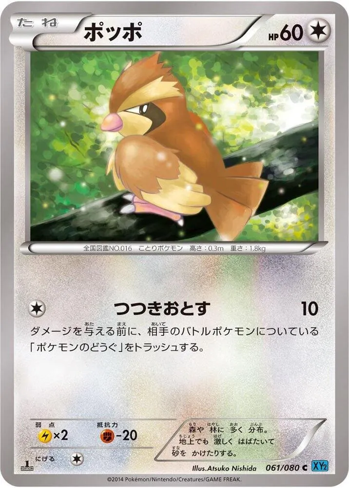 Pidgey — XY2: Wild Blaze — Pokemon Japan