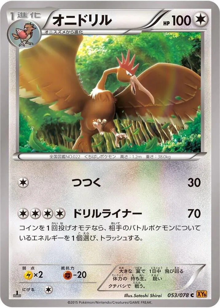 Fearow — XY6: Emerald Break — Pokemon Japan
