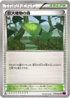 Product image for Forest of Giant Plants
