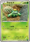 Product image for Cacnea