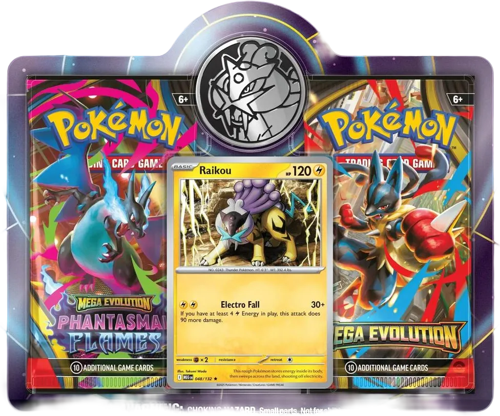 Duopack : Raikou (3-tab) — Miscellaneous Cards & Products — Pokemon