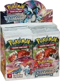 Display Frontières Franchies — Boundaries Crossed — Pokemon