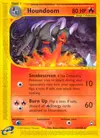 Product image for Houndoom