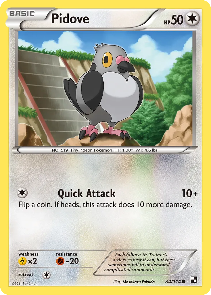 Pidove — Black and White — Pokémon